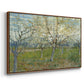 The Pink Orchard, 1888 - Floater Framed Canvas Print