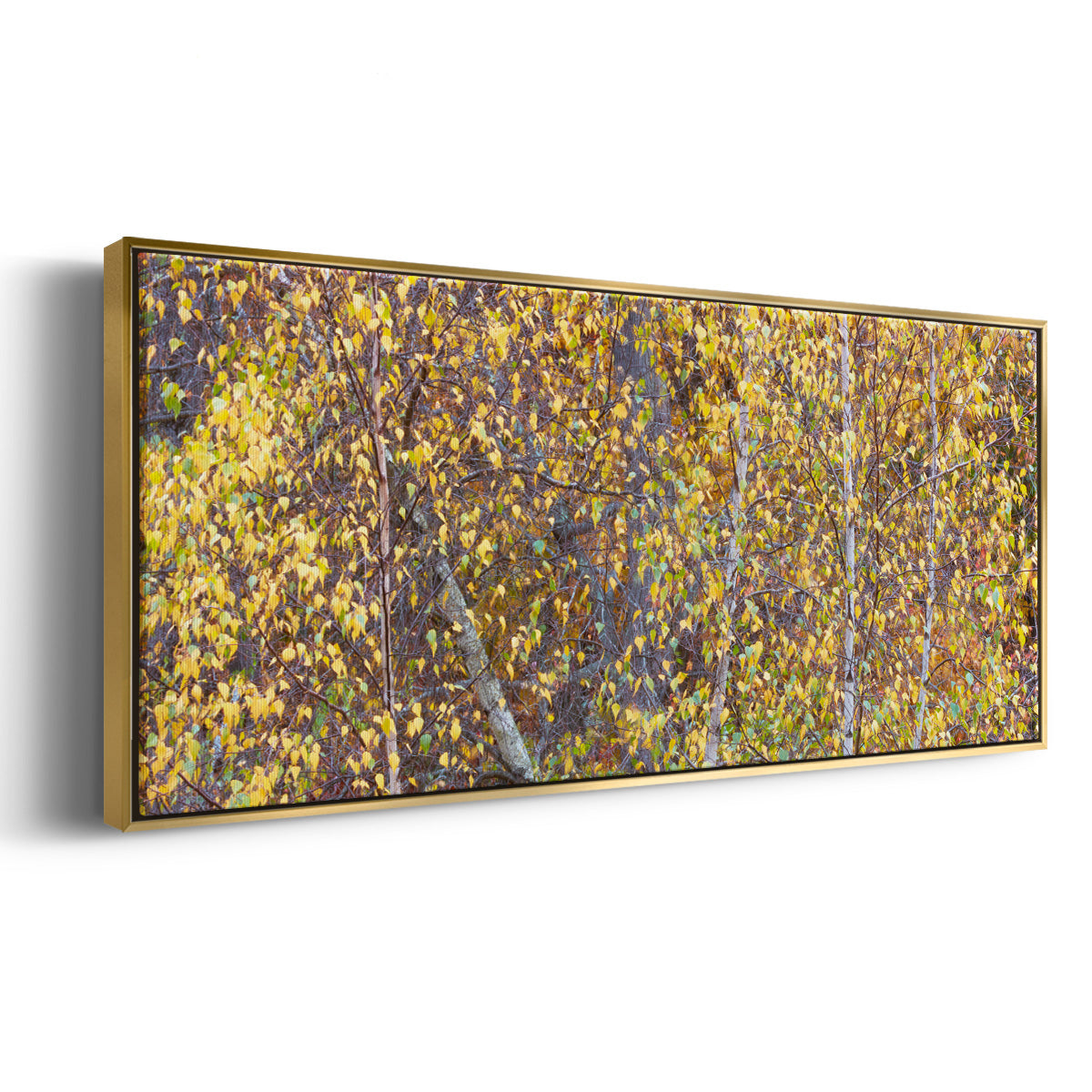 Tree Panorama III - Floater Framed Canvas Print