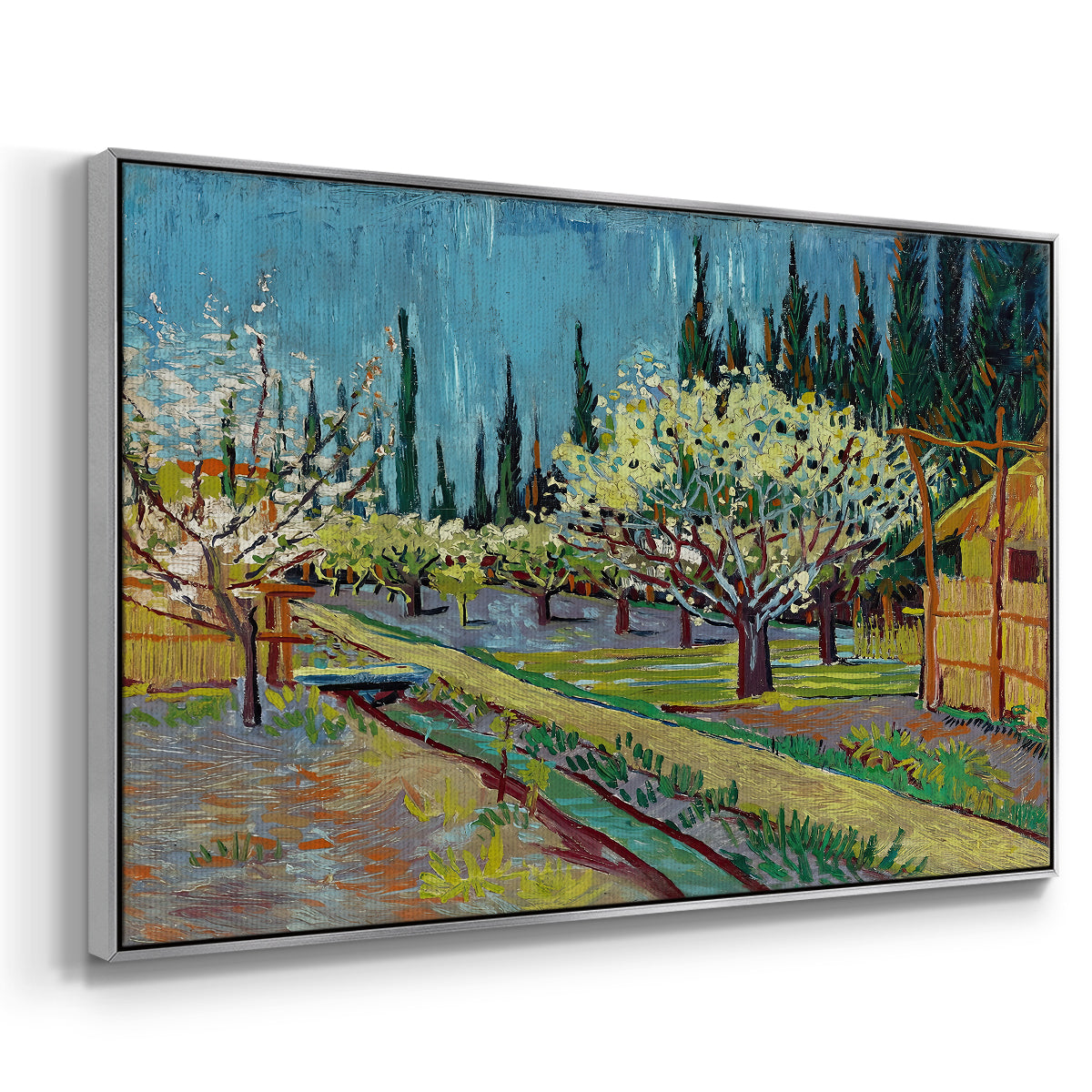 Orchard in Blossom, Bordered by Cypresses, 1888 - Floater Framed Canvas Print