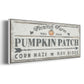 Pumpkin Patch II - Floater Framed Canvas Print