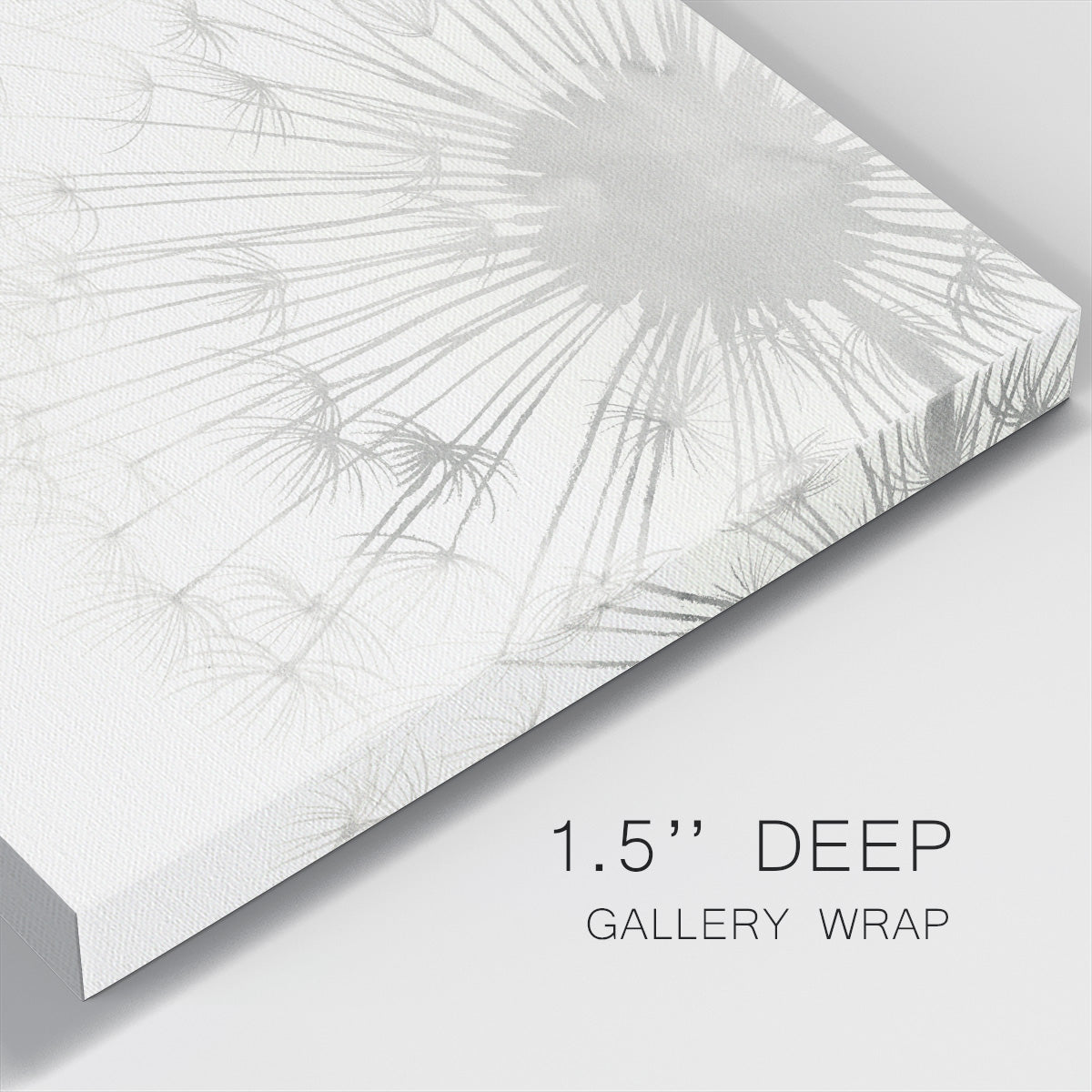 Dandelion Whisper II - Canvas Art Print