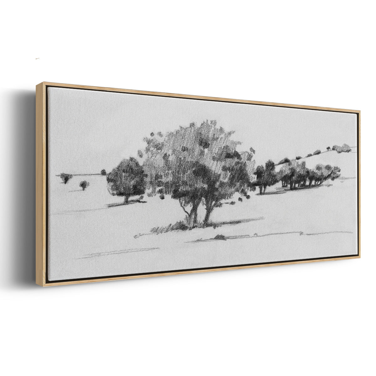 Treeline Sketch I - Floater Framed Canvas Print