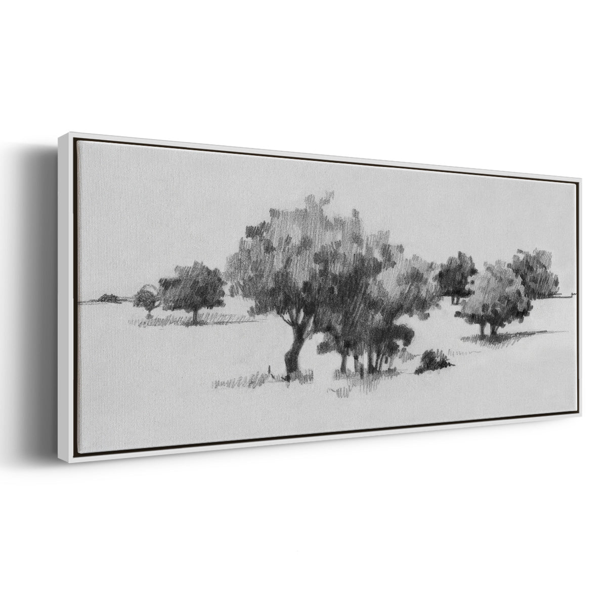 Treeline Sketch II - Floater Framed Canvas Print
