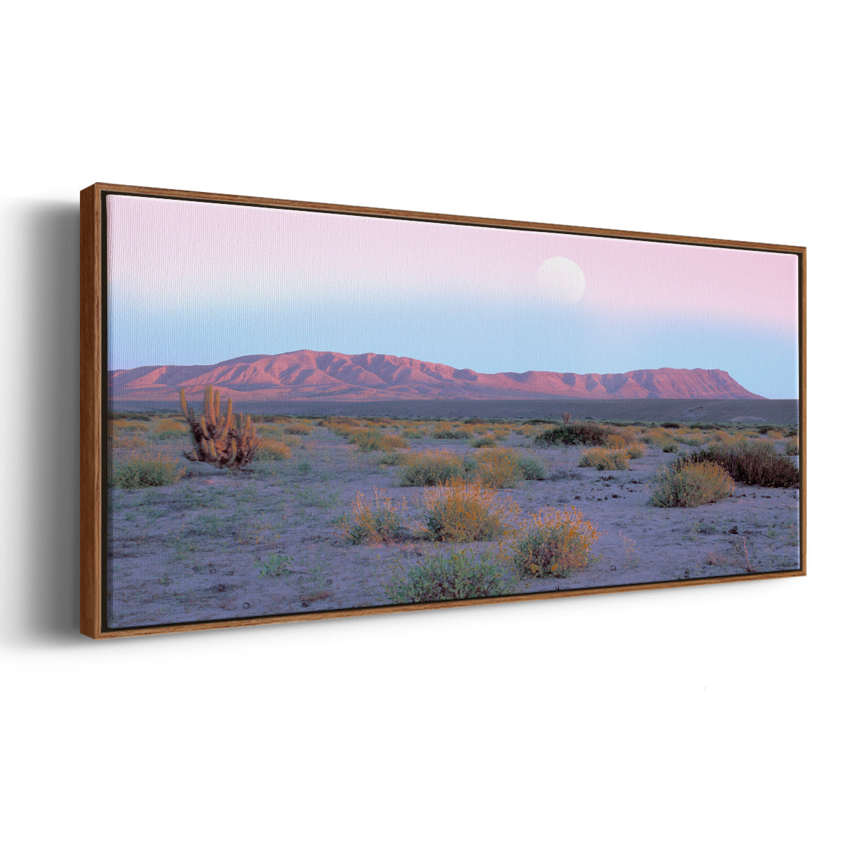 Vallenar Atacama Desert - Floater Framed Canvas Print