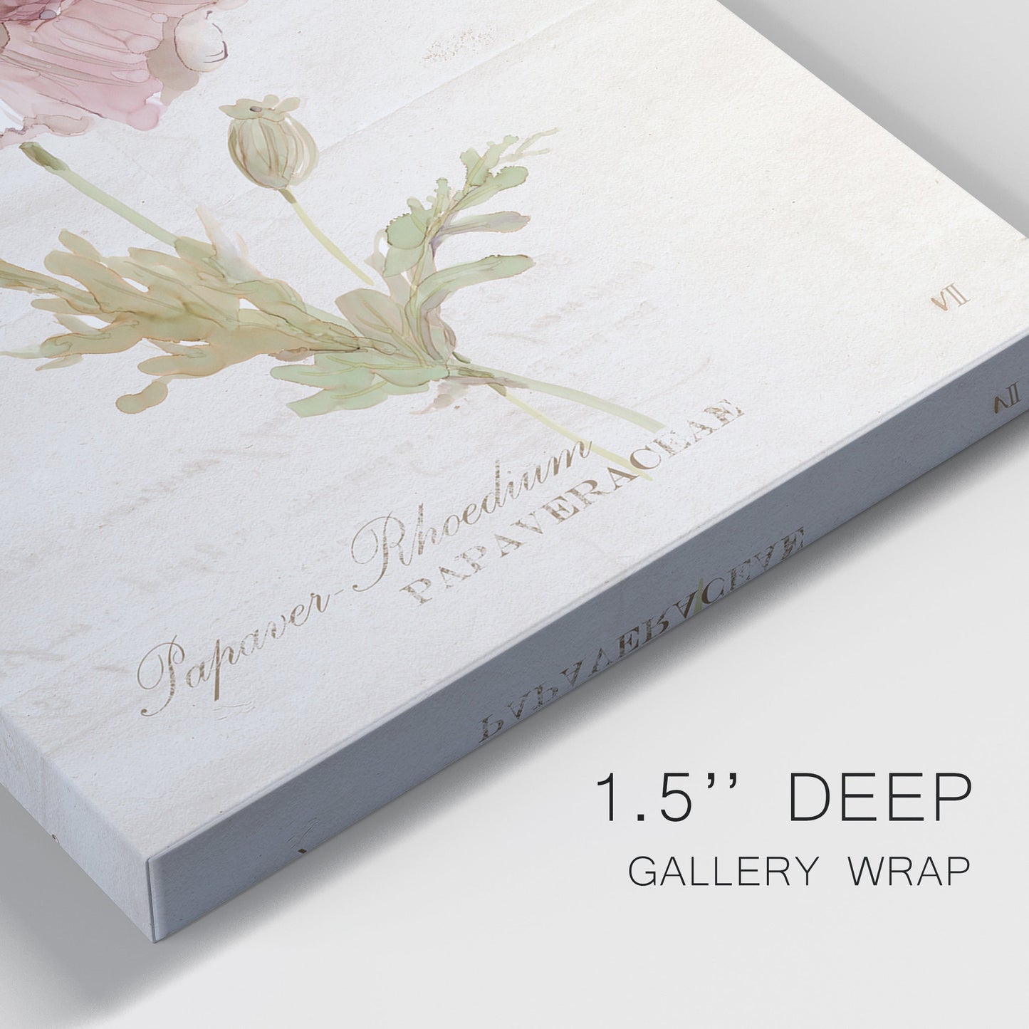 Soft Poppy Premium Gallery Wrapped Canvas - Ready to Hang - Set of 2 - 8 x 12 Each