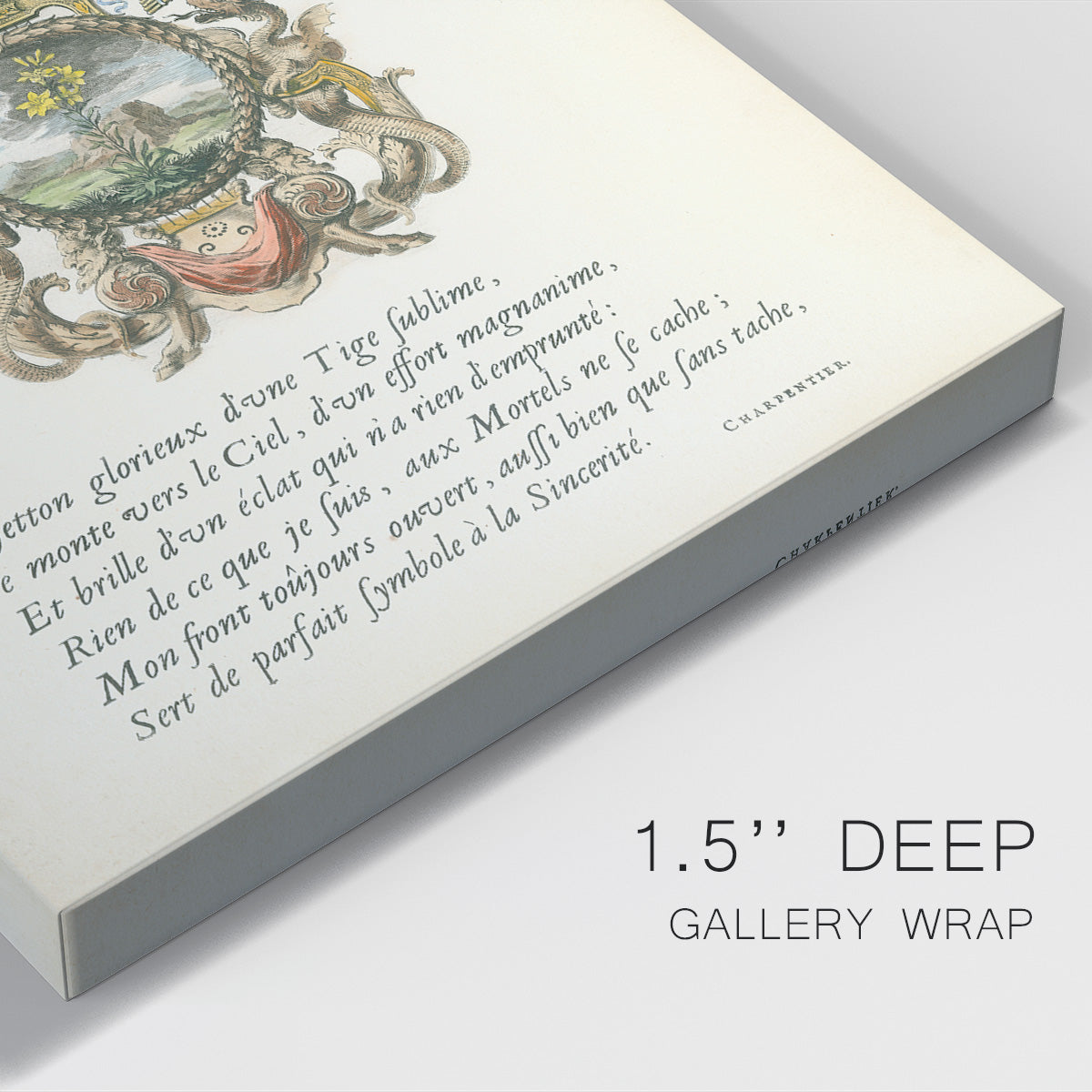 Printed Embellished Bookplate VI Premium Gallery Wrapped Canvas - Ready to Hang