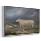 A Border Leicester Ewe, c. 1795-1800 - Floater Framed Canvas Print
