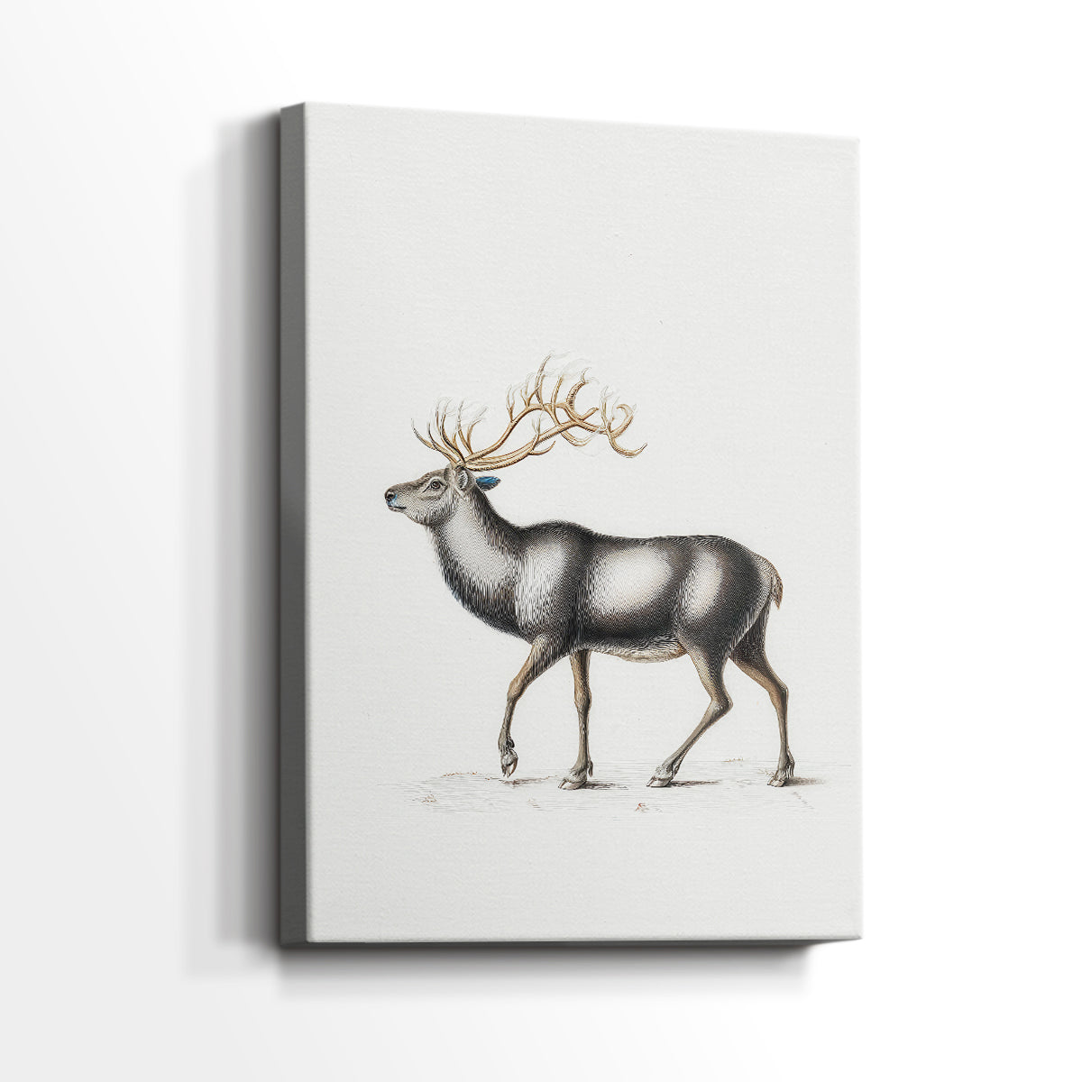 Eve of Frostlit Nativity - Canvas Art Print