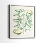Buchoz Tropicals III - Restickable Framed Art Print