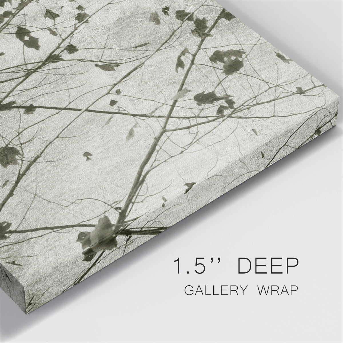 Laced Sky I - Canvas Art Print