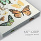 Collected Flutter I Premium Gallery Wrapped Canvas - Ready to Hang