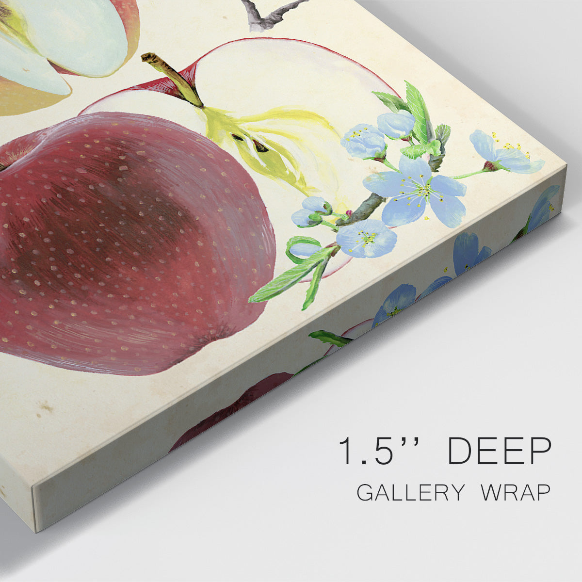 Apple & Blossom Study II Premium Gallery Wrapped Canvas - Ready to Hang