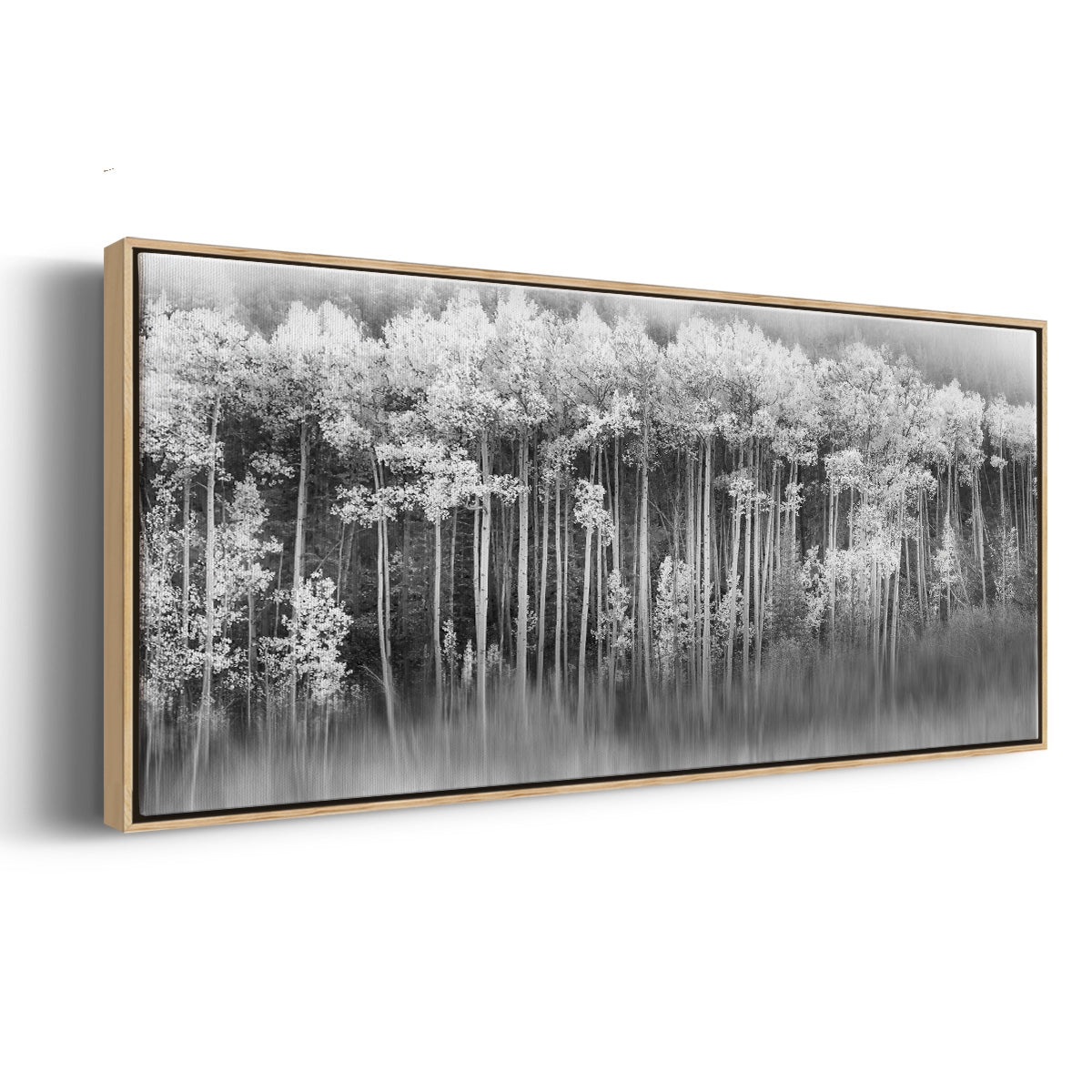 Dreamy Aspen - Floater Framed Canvas Print