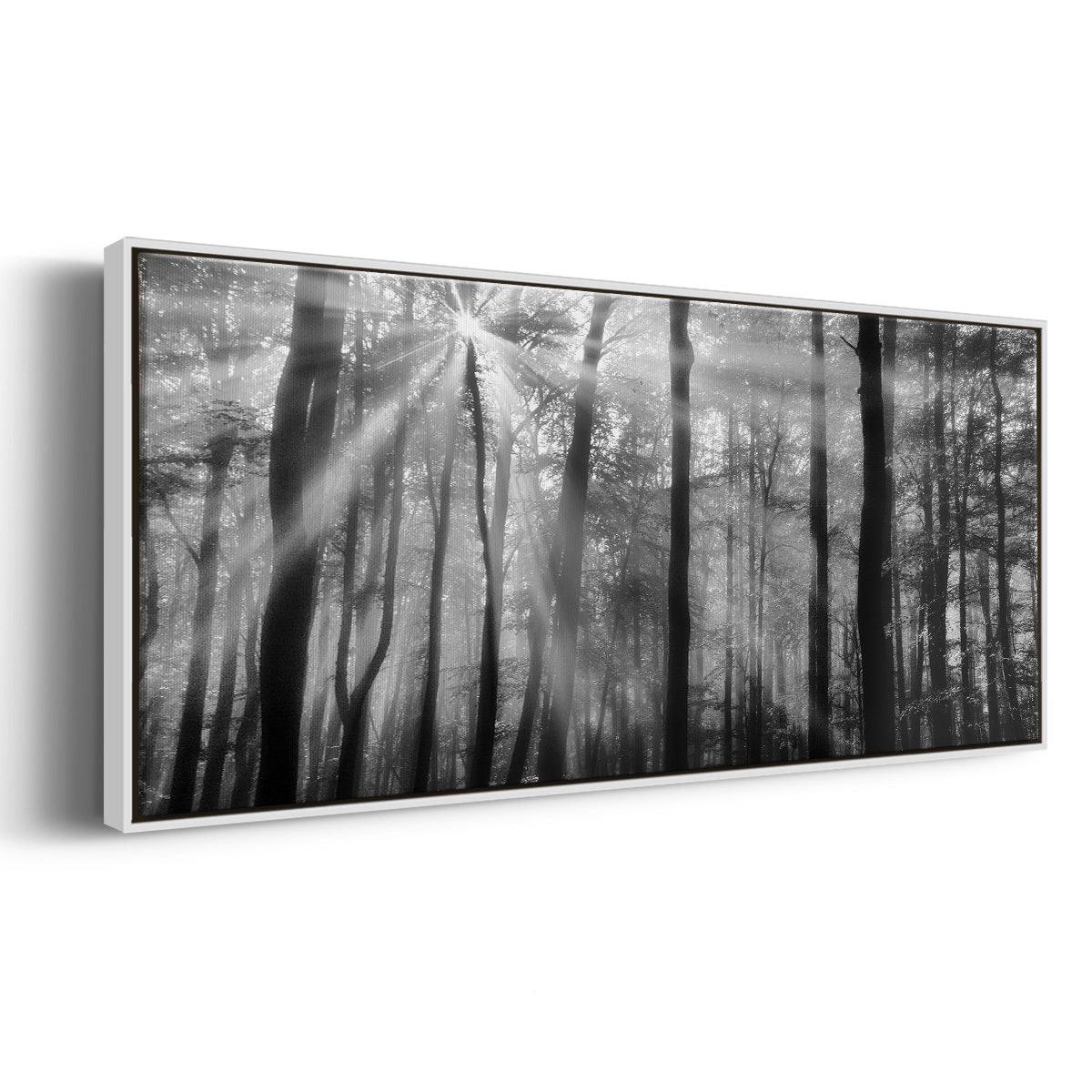 Breaking Through - Floater Framed Canvas Print