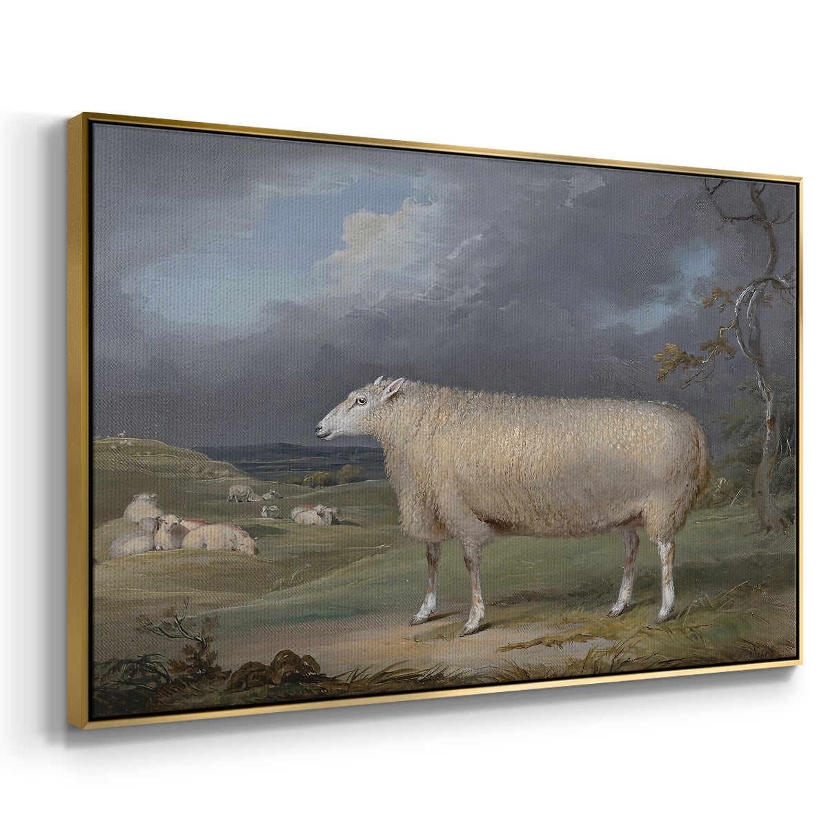 A Border Leicester Ewe, c. 1795-1800 - Floater Framed Canvas Print