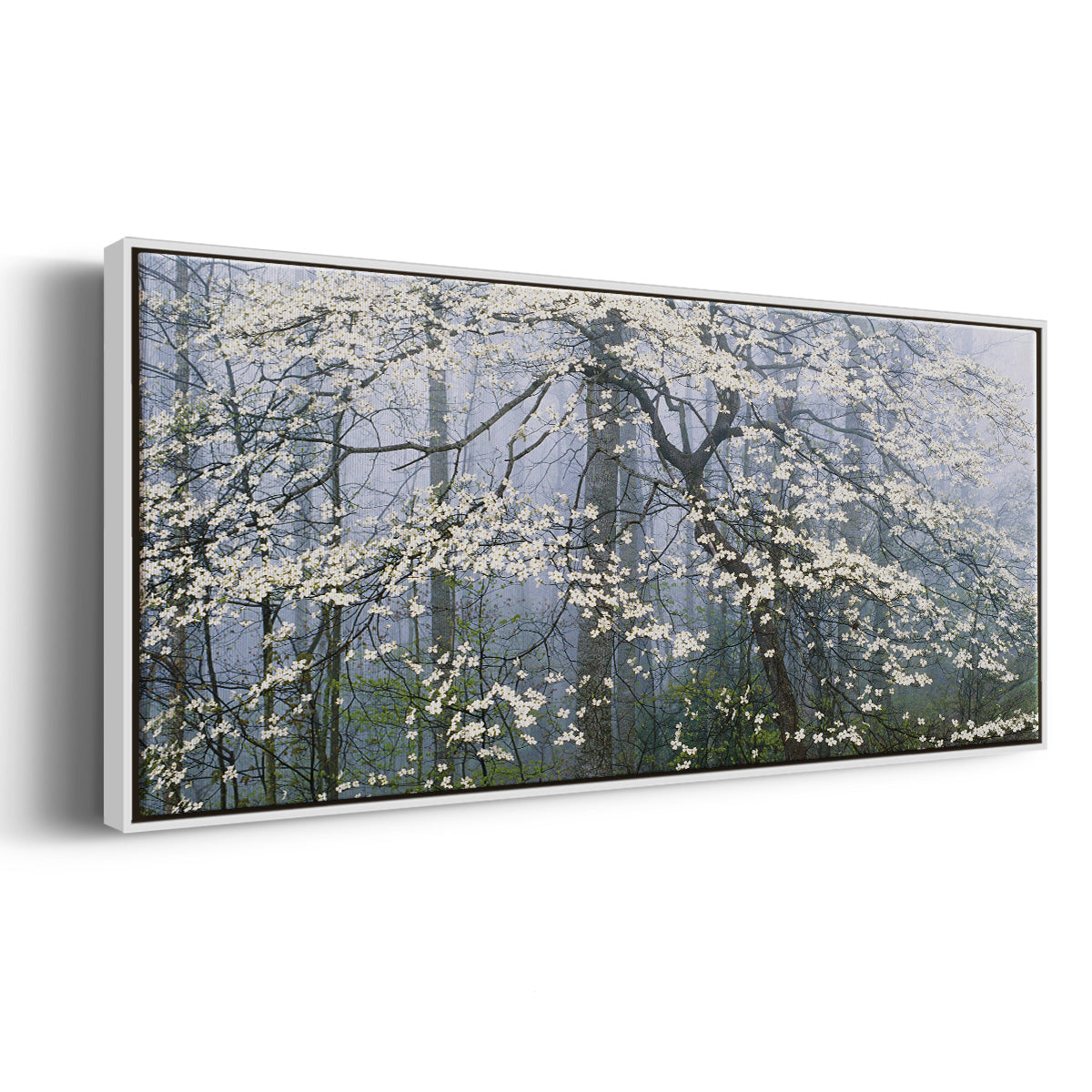 Dogwood Canopy - Floater Framed Canvas Print