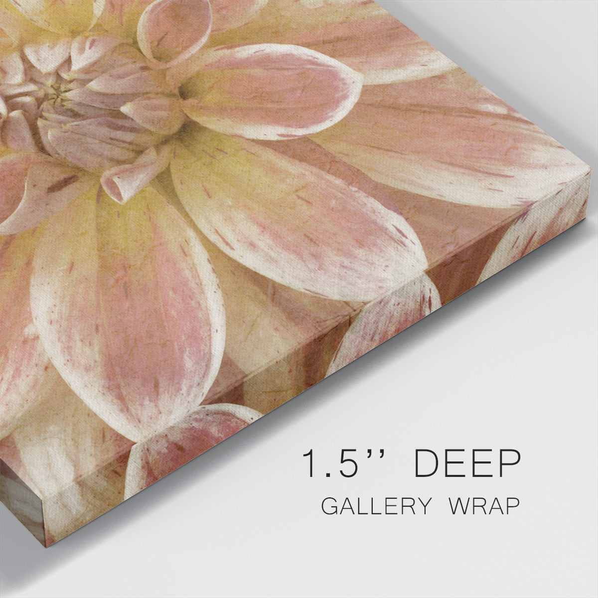 Wall Flower V-Premium Gallery Wrapped Canvas - Ready to Hang