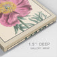 Peony Collection III - Canvas Art Print