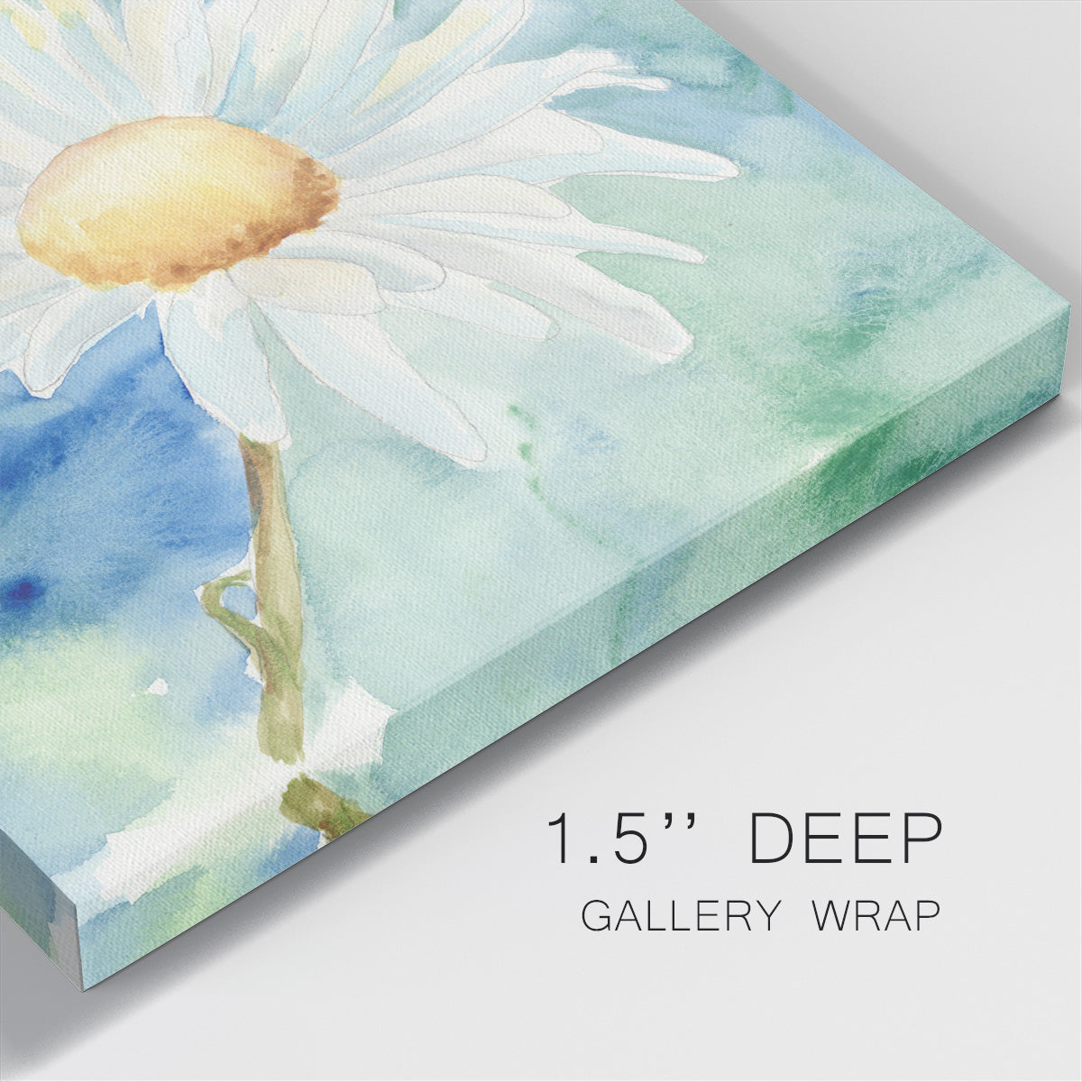 Daisy Sunshine II - Canvas Art Print