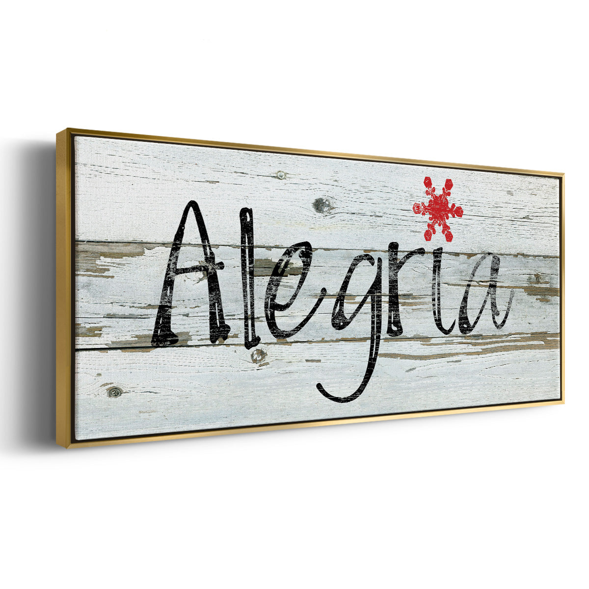 Alegria - Floater Framed Canvas Print