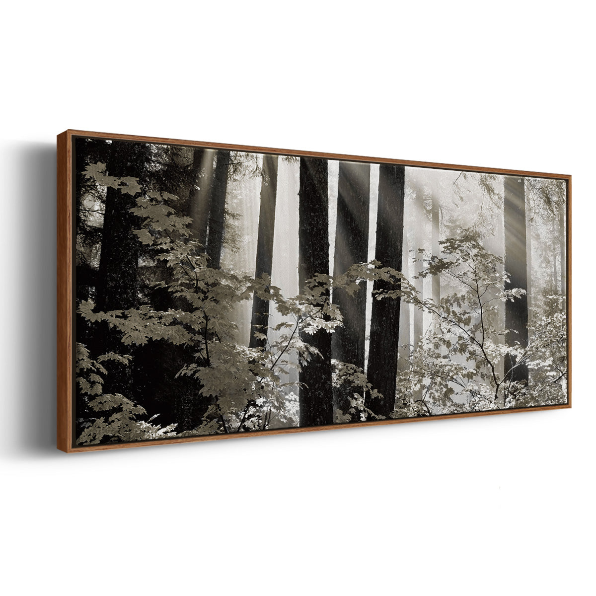Misty Forest - Floater Framed Canvas Print