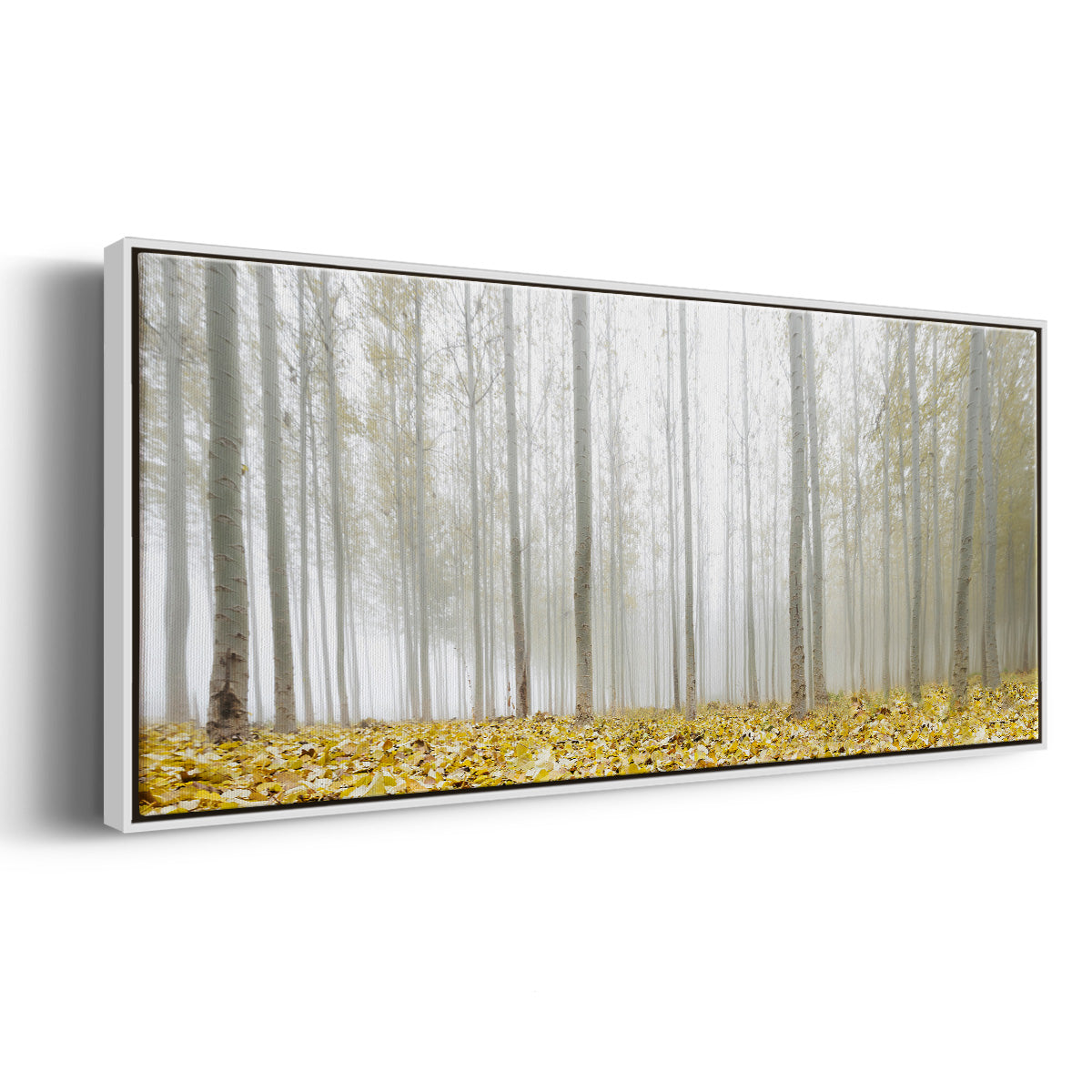 Poplar Grove - Floater Framed Canvas Print