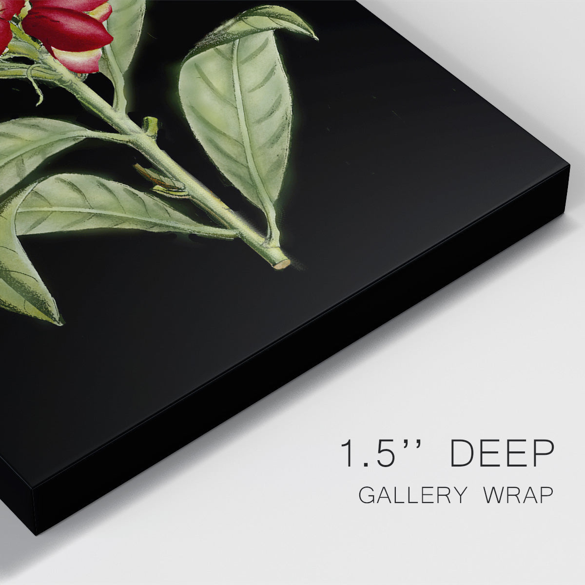 Crimson Flowers on Black (A) III Premium Gallery Wrapped Canvas - Ready to Hang