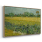 Field with Irises near Arles, 1888 - Floater Framed Canvas Print