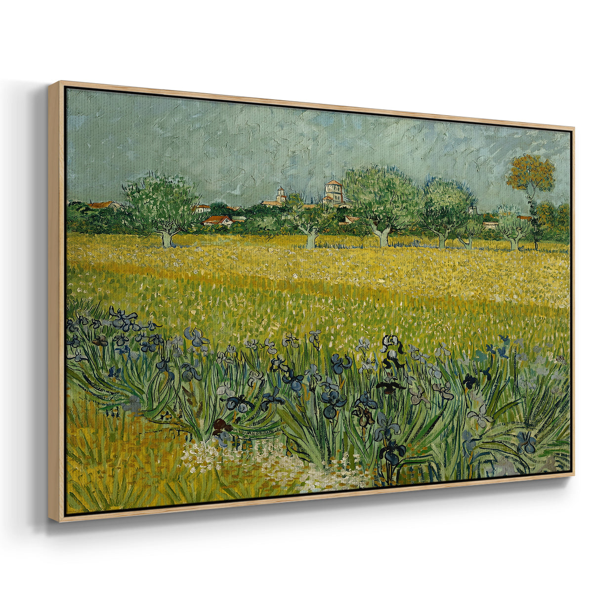 Field with Irises near Arles, 1888 - Floater Framed Canvas Print
