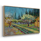 Orchard in Blossom, Bordered by Cypresses, 1888 - Floater Framed Canvas Print