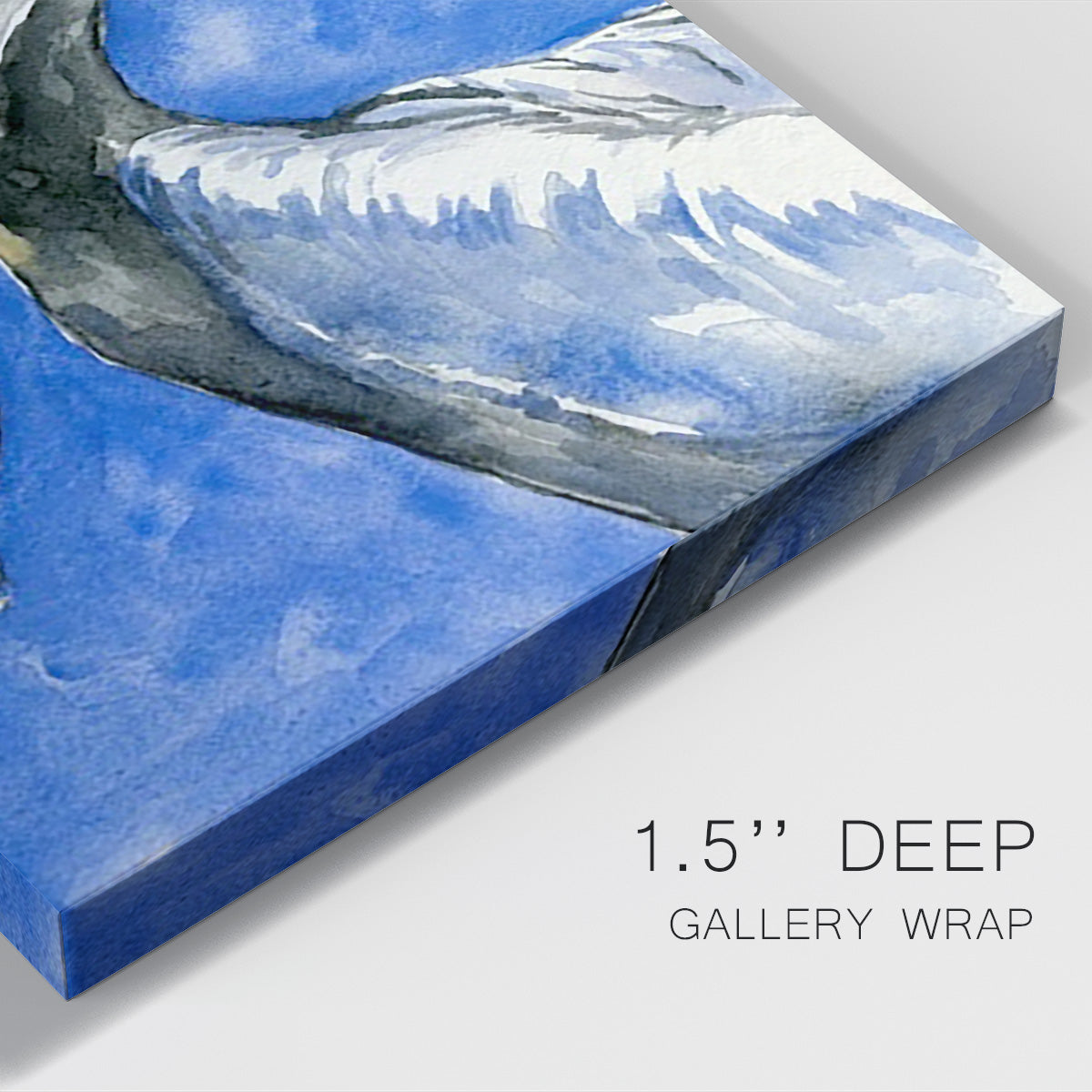 Pelican Pool II Premium Gallery Wrapped Canvas - Ready to Hang