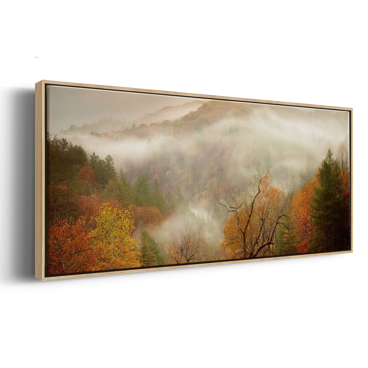 Photography Study Autumn Mist - Floater Framed Canvas Print