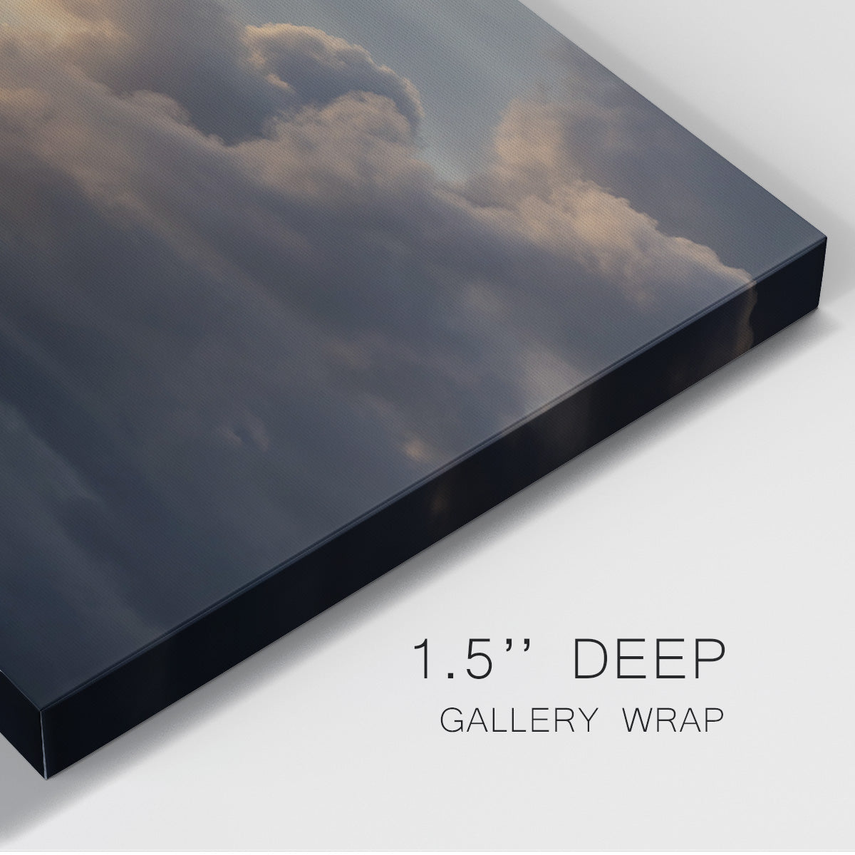 Soaring High Above - Canvas Art Print