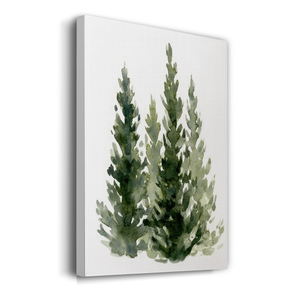 Simple Evergreens II - Gallery Wrapped Canvas