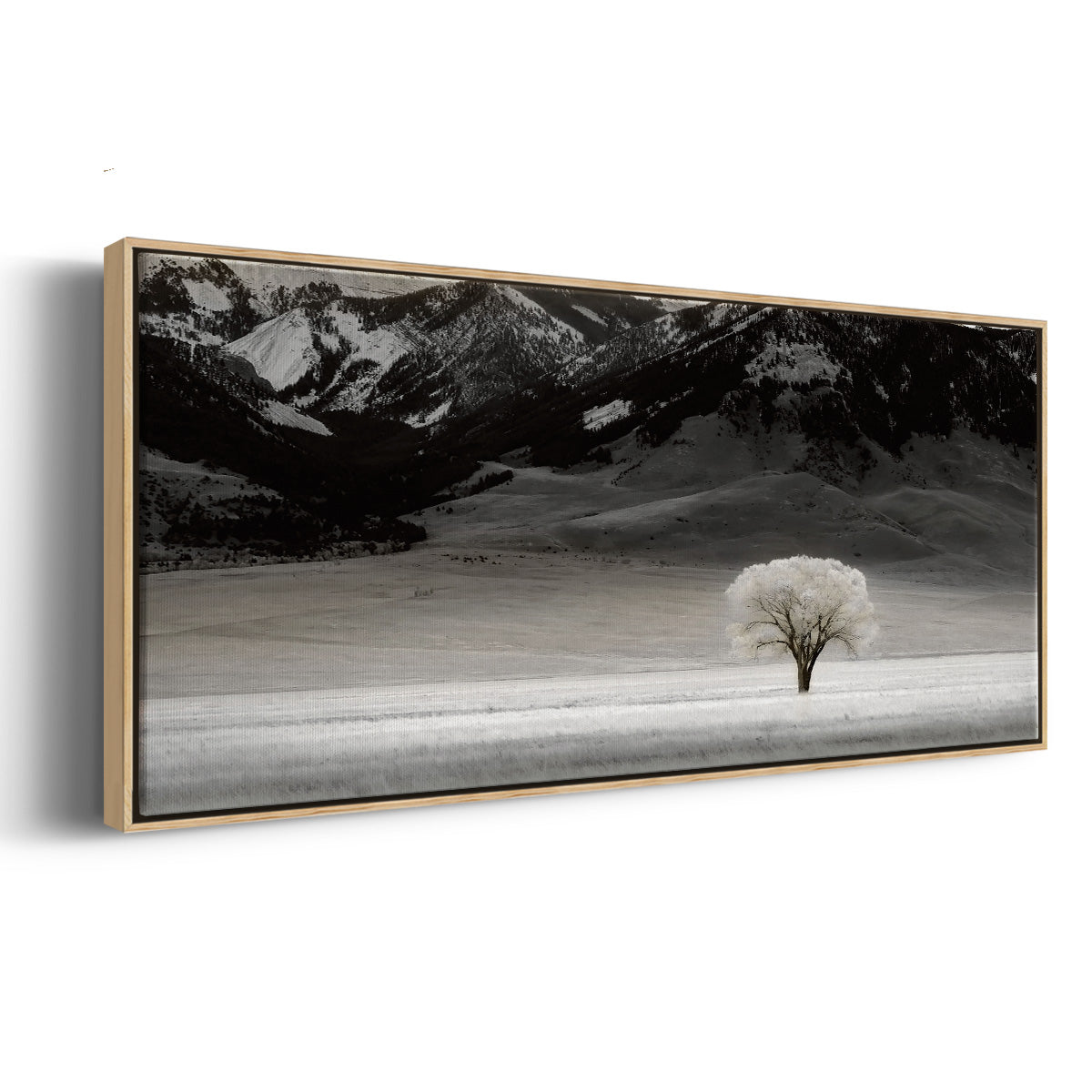 Solitary Tree - Floater Framed Canvas Print