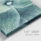 Close-up view of wrapped canvas corner featuring green succulent plant photograph.