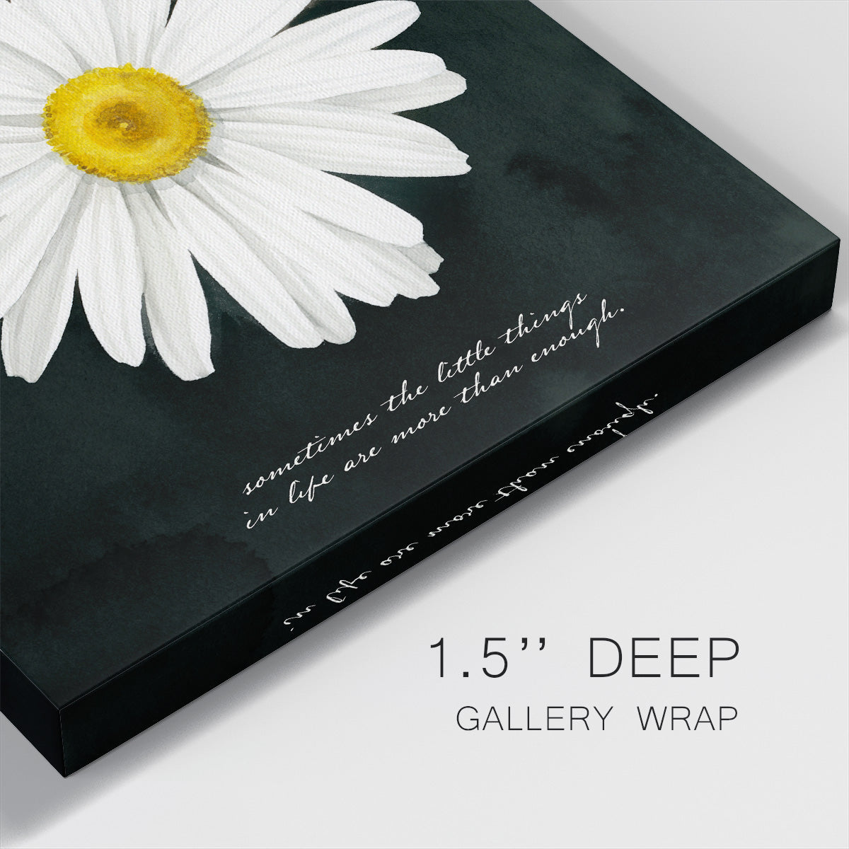 Delicate Daisy I - Canvas Art Print