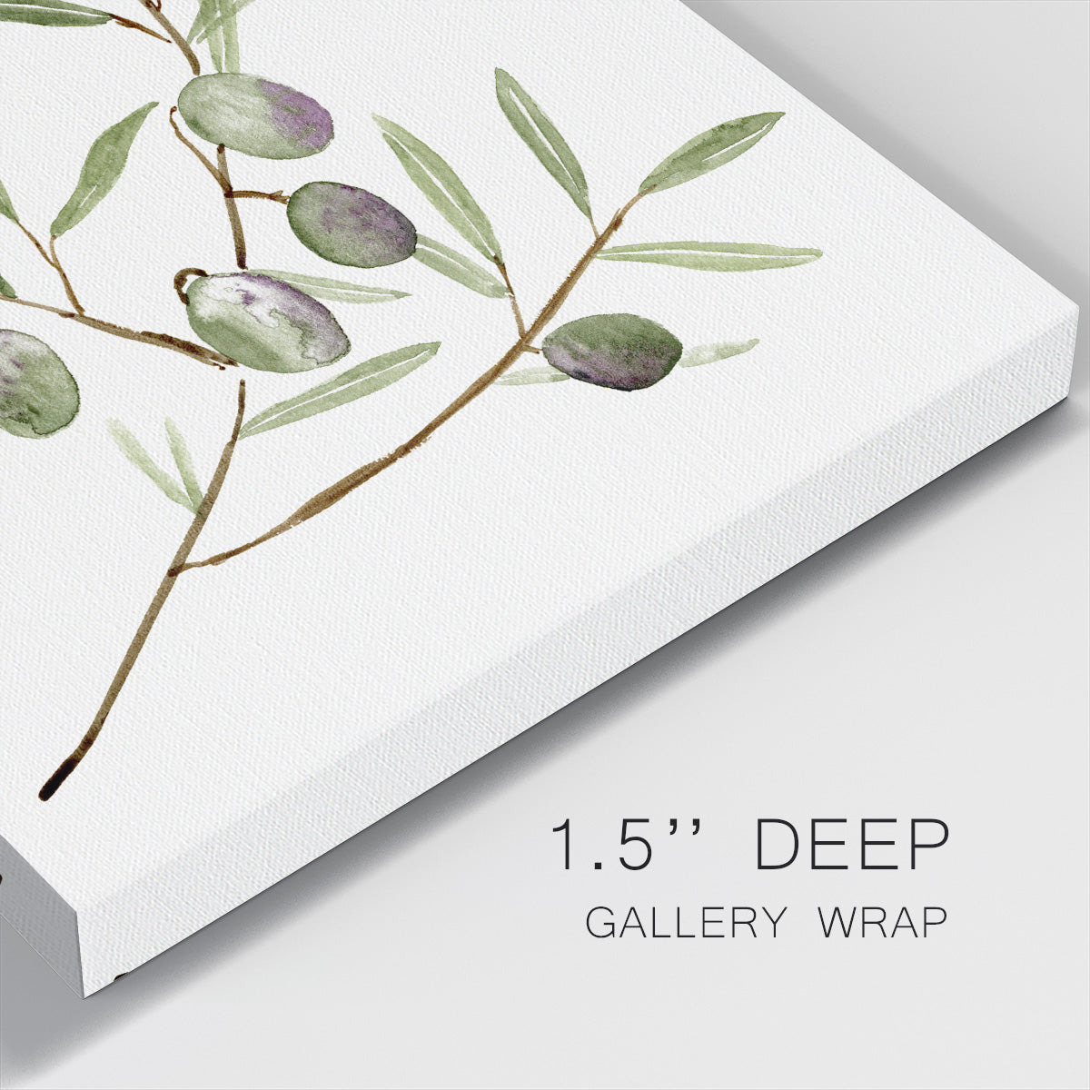 Olive Branch II - Canvas Art Print