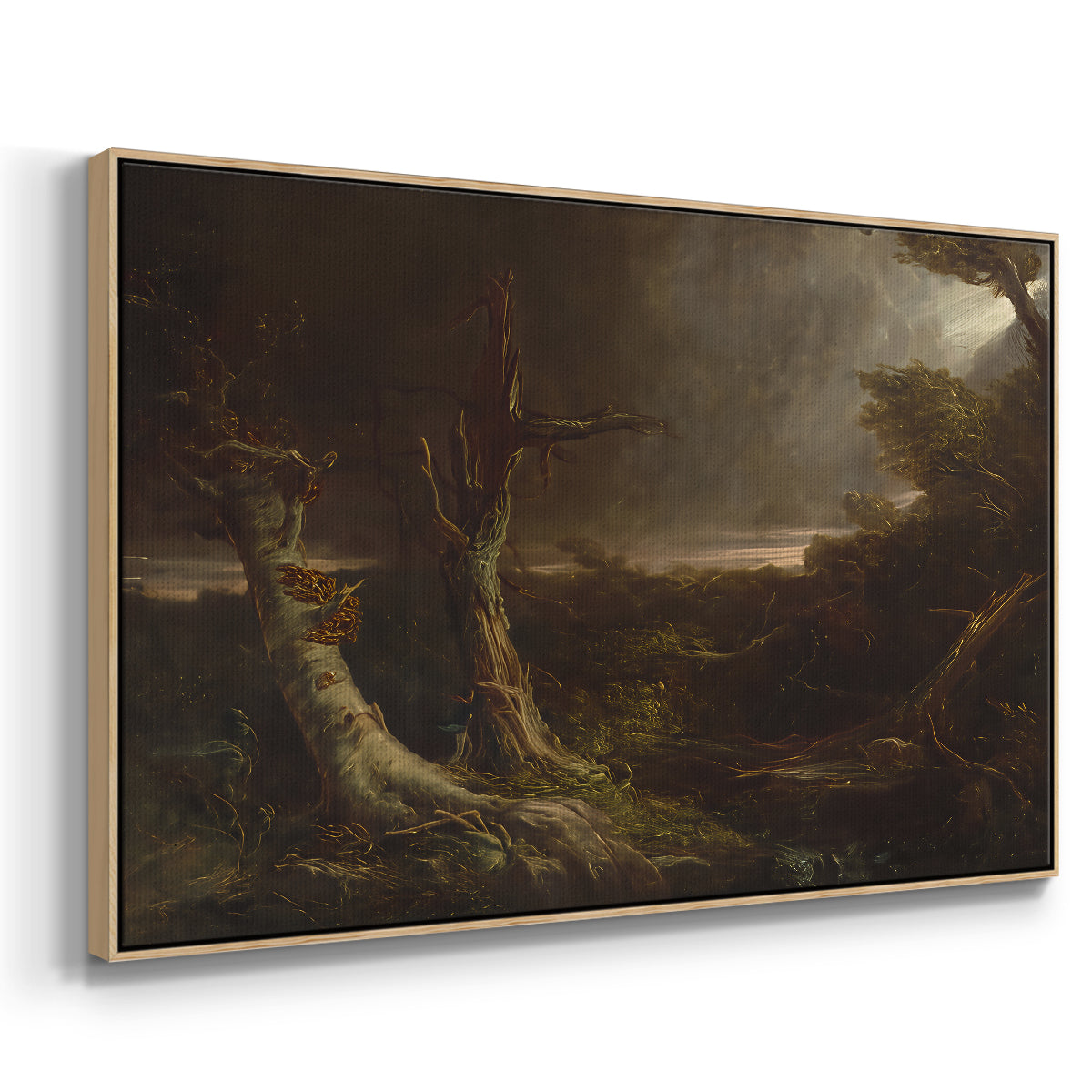 Tornado in an American Forest, 1835 - Floater Framed Canvas Print