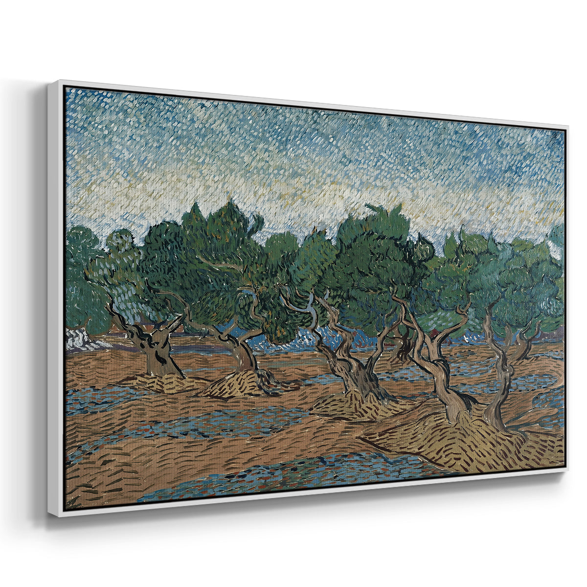 Olive Trees, 1889 - Floater Framed Canvas Print