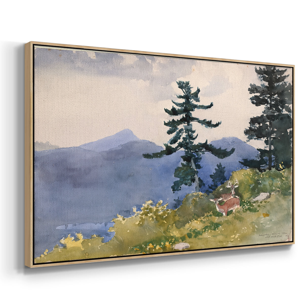 North Woods Club, Adirondacks, 1892 - Floater Framed Canvas Print