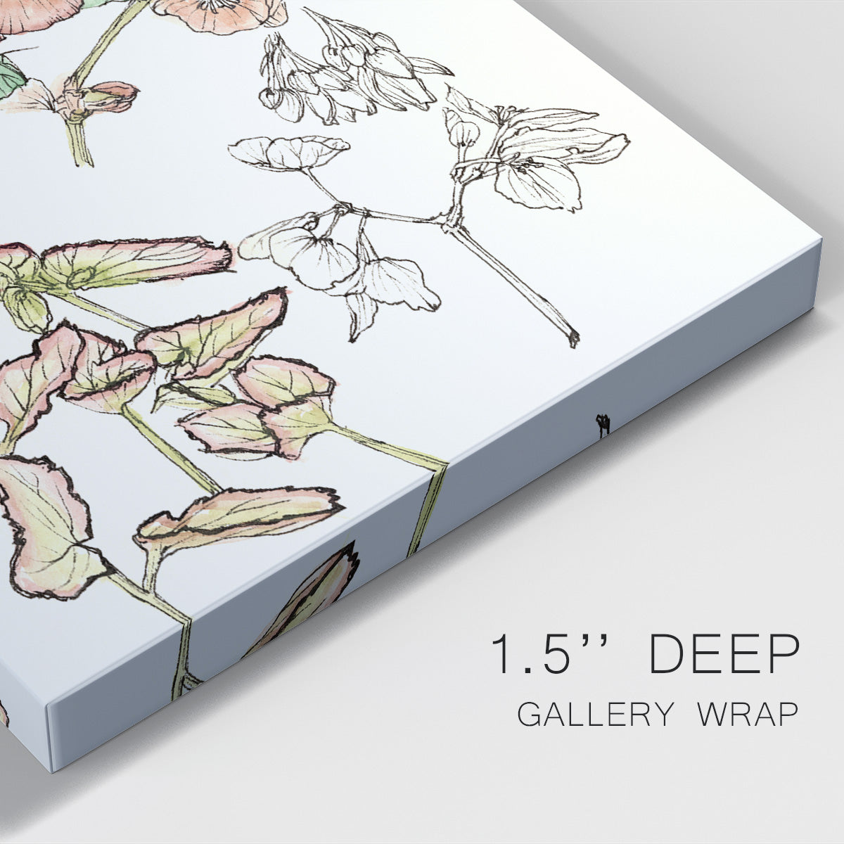 Begonia Study Premium Gallery Wrapped Canvas - Ready to Hang