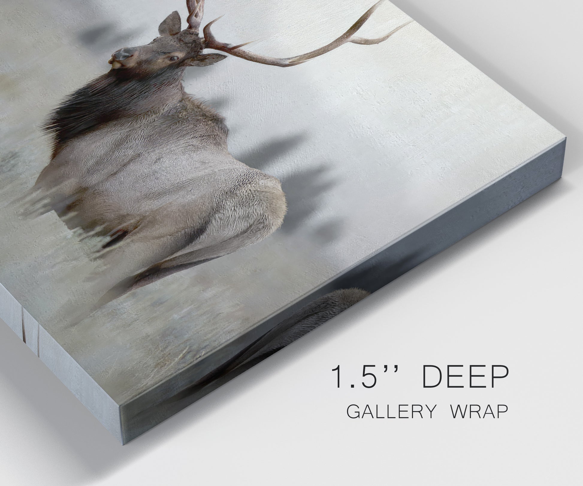 Close-up view of wrapped canvas corner featuring elk standing in open grassland.