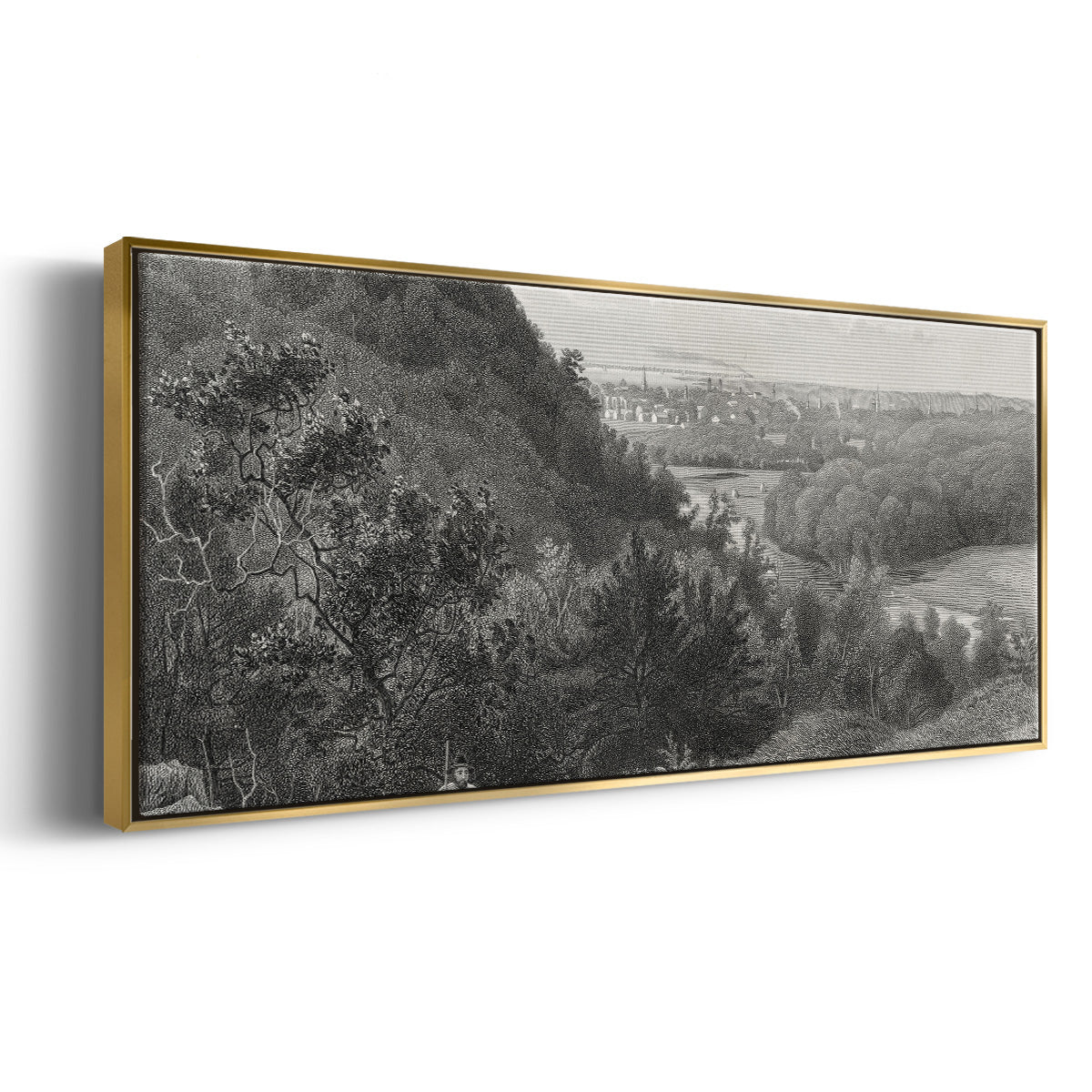 East Rock, New Haven - Floater Framed Canvas Print