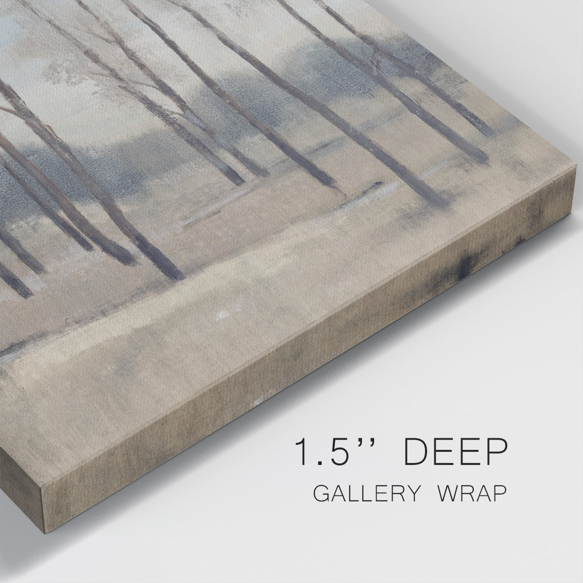 Soft Light II - Canvas Art Print