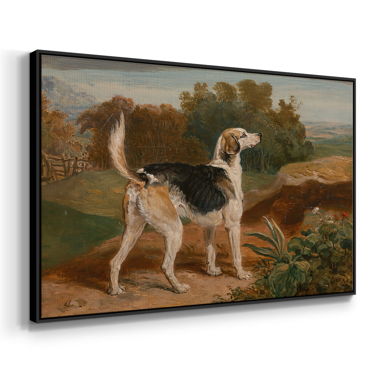 Ravager, One of the Lambton Hounds, 1835 - Floater Framed Canvas Print