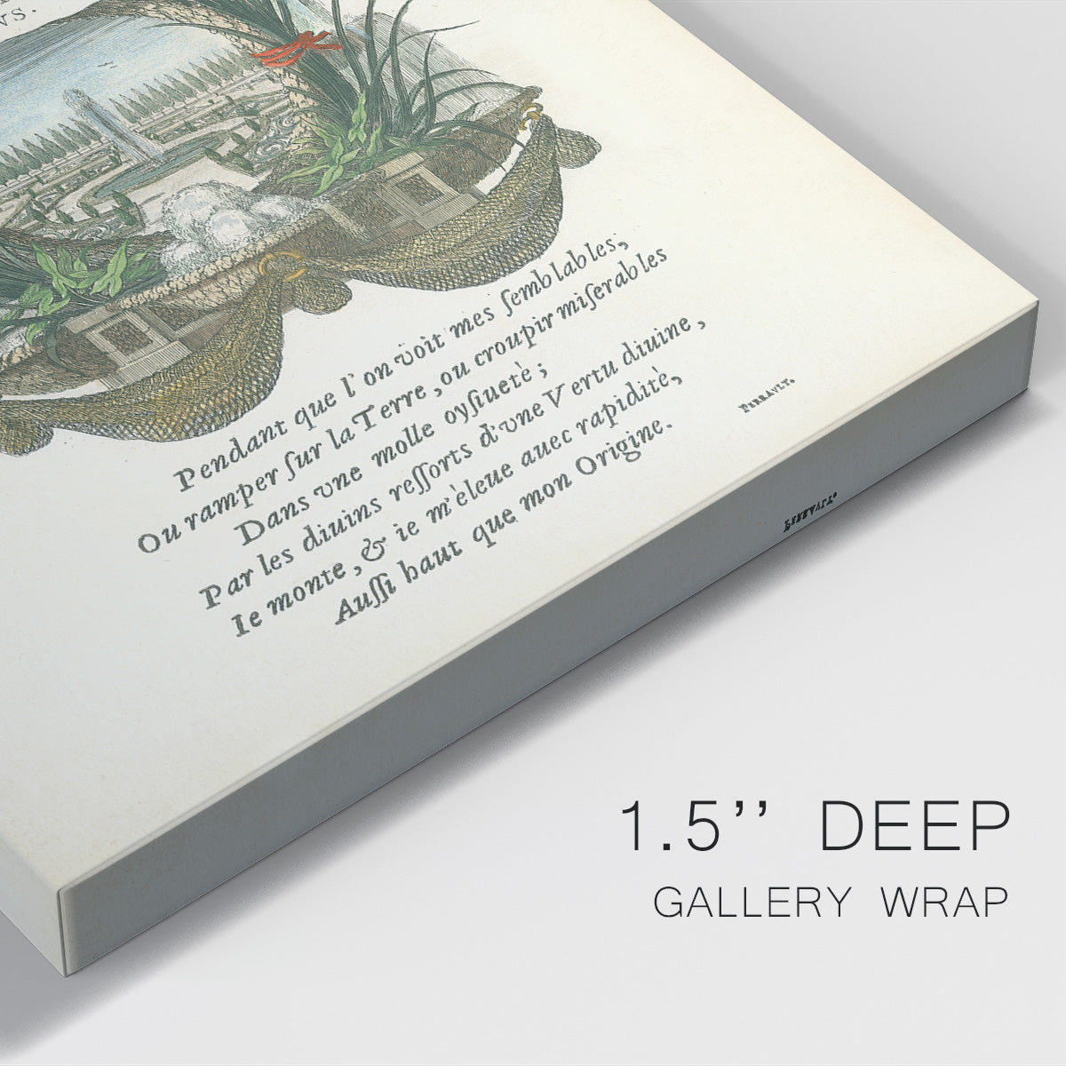 Printed Embellished Bookplate II Premium Gallery Wrapped Canvas - Ready to Hang