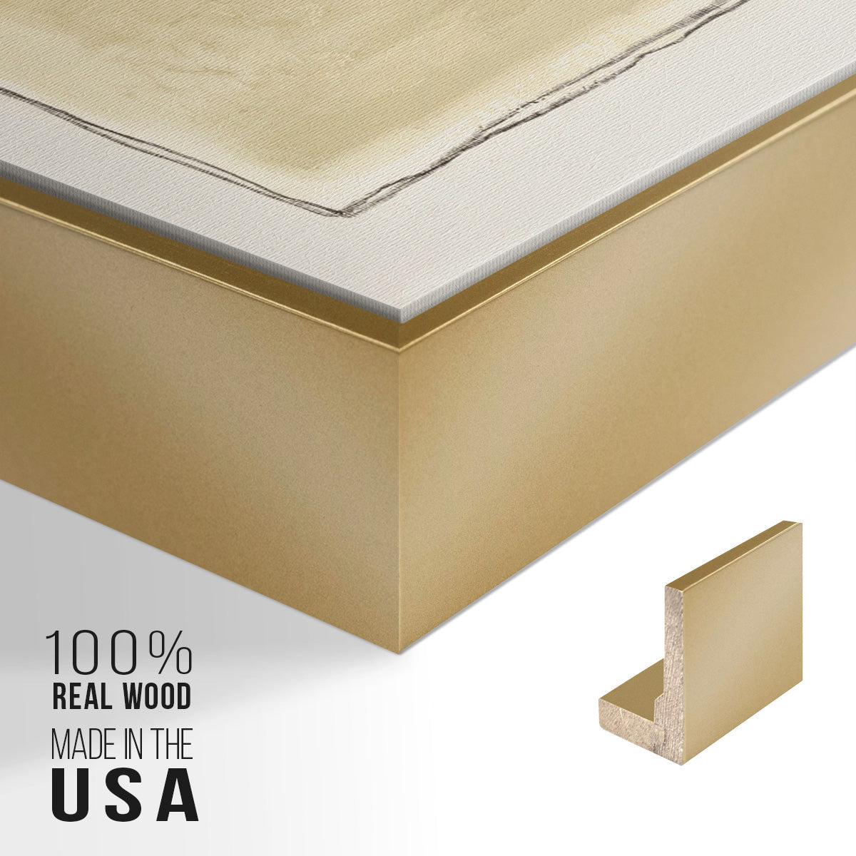 Inner Musing II - Floater Framed Canvas Print