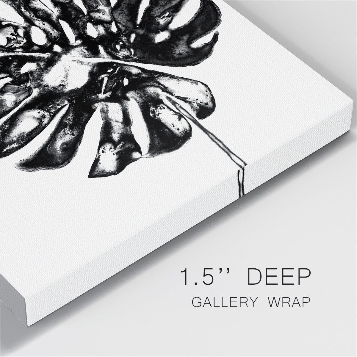 Monochrome Tropic V - Canvas Art Print