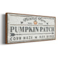 Pumpkin Patch II - Floater Framed Canvas Print